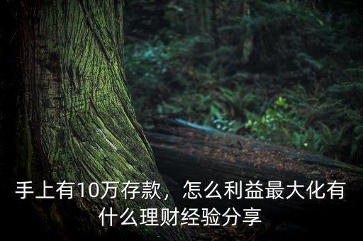 手上有10萬存款，怎么利益最大化有什么理財經(jīng)驗分享