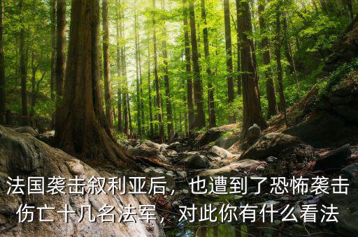法國襲擊敘利亞后，也遭到了恐怖襲擊傷亡十幾名法軍，對此你有什么看法