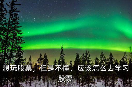 想玩股票，但是不懂，應(yīng)該怎么去學習股票