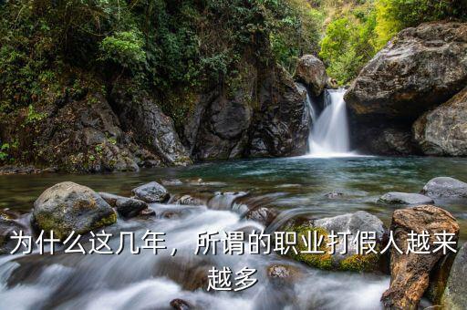 為什么這幾年，所謂的職業(yè)打假人越來(lái)越多