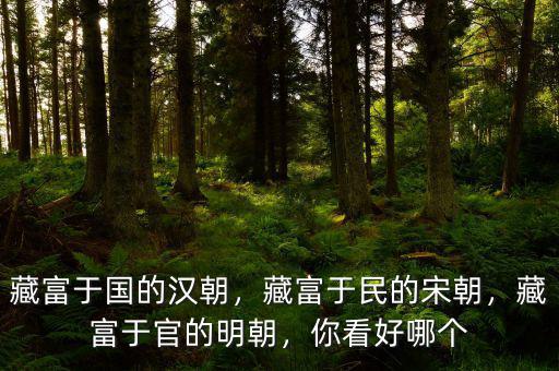 藏富于國(guó)的漢朝，藏富于民的宋朝，藏富于官的明朝，你看好哪個(gè)