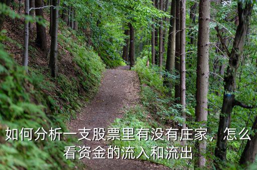 如何分析一支股票里有沒(méi)有莊家，怎么看資金的流入和流出
