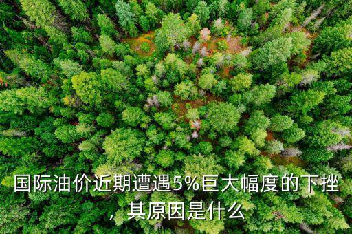 國(guó)際油價(jià)近期遭遇5%巨大幅度的下挫，其原因是什么