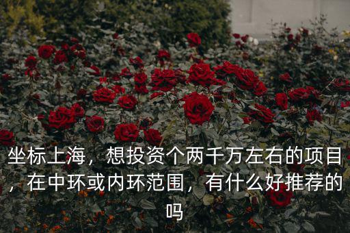 坐標上海，想投資個兩千萬左右的項目，在中環(huán)或內環(huán)范圍，有什么好推薦的嗎