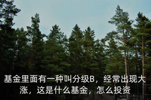 基金里面有一種叫分級(jí)B，經(jīng)常出現(xiàn)大漲，這是什么基金，怎么投資