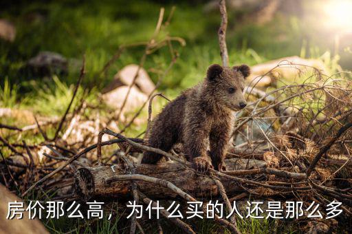 房?jī)r(jià)那么高，為什么買的人還是那么多