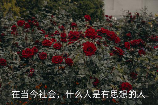 在當(dāng)今社會(huì)，什么人是有思想的人