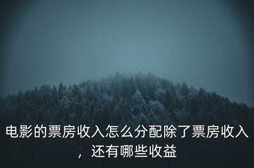 電影的票房收入怎么分配除了票房收入，還有哪些收益