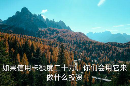 如果信用卡額度二十萬(wàn)，你們會(huì)用它來(lái)做什么投資