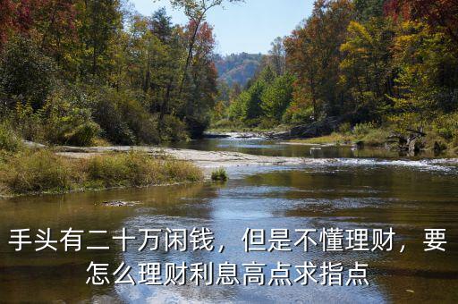 手頭有二十萬閑錢，但是不懂理財，要怎么理財利息高點求指點