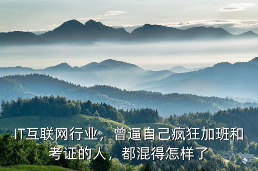 IT互聯(lián)網(wǎng)行業(yè)，曾逼自己瘋狂加班和考證的人，都混得怎樣了