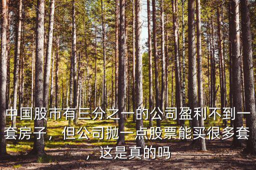中國股市有三分之一的公司盈利不到一套房子，但公司拋一點股票能買很多套，這是真的嗎