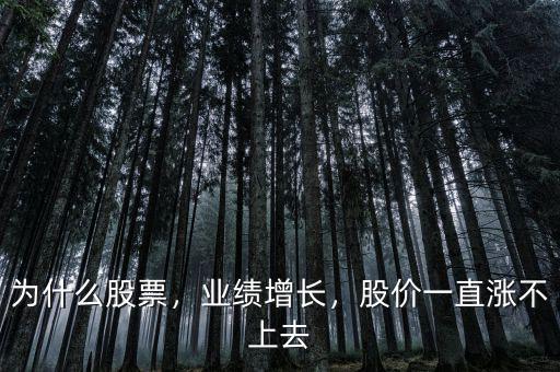 為什么股票，業(yè)績增長，股價一直漲不上去