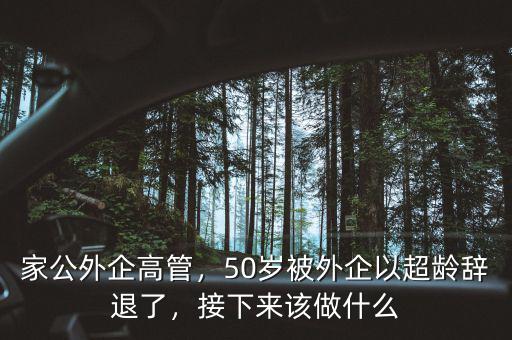 家公外企高管，50歲被外企以超齡辭退了，接下來該做什么
