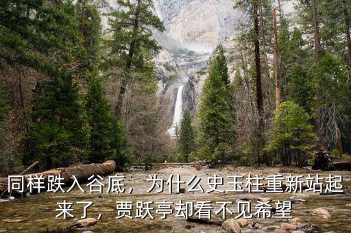 同樣跌入谷底，為什么史玉柱重新站起來(lái)了，賈躍亭卻看不見希望