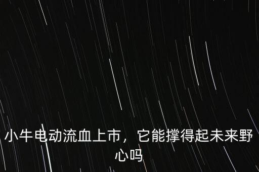 小牛電動流血上市，它能撐得起未來野心嗎