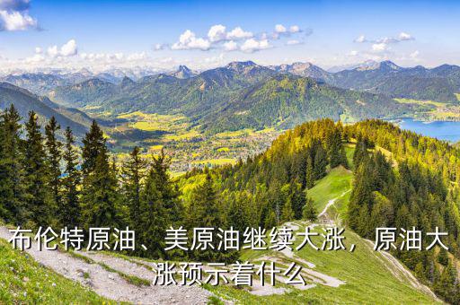 布倫特原油、美原油繼續(xù)大漲，原油大漲預(yù)示著什么