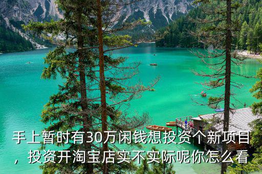 手上暫時有30萬閑錢想投資個新項目，投資開淘寶店實不實際呢你怎么看
