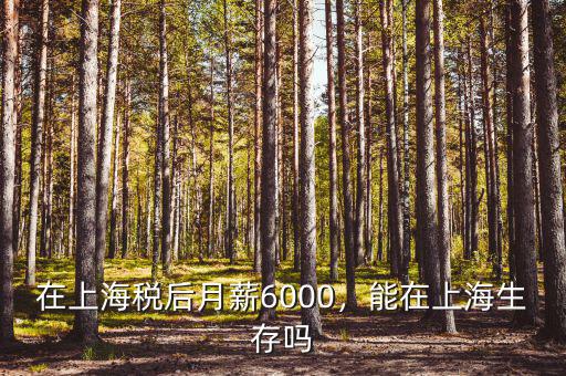 在上海稅后月薪6000，能在上海生存嗎