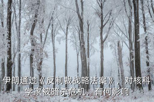 伊朗通過《反制裁戰(zhàn)略法案》，對核科學(xué)家被暗殺危機，有何影響