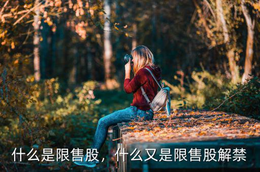 什么是限售股，什么又是限售股解禁