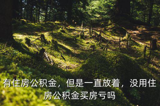 有住房公積金，但是一直放著，沒用住房公積金買房虧嗎