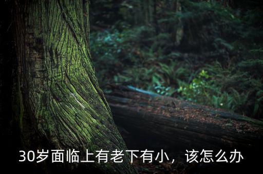 30歲面臨上有老下有小，該怎么辦