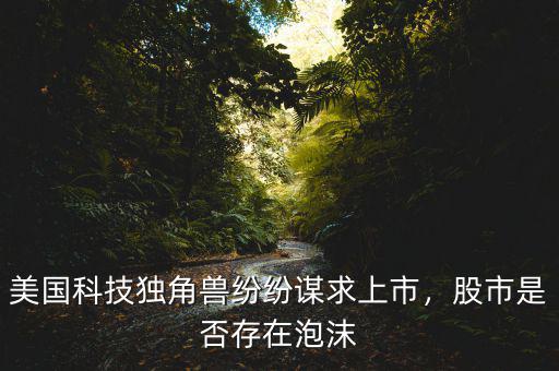 美國(guó)科技獨(dú)角獸紛紛謀求上市，股市是否存在泡沫