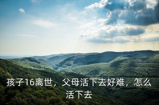 孩子16離世，父母活下去好難，怎么活下去
