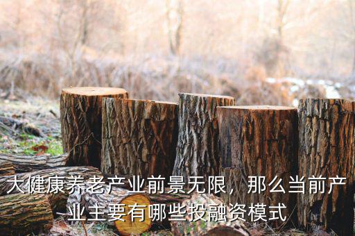 大健康養(yǎng)老產(chǎn)業(yè)前景無限，那么當前產(chǎn)業(yè)主要有哪些投融資模式