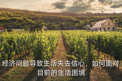 經(jīng)濟問題導(dǎo)致生活失去信心，如何面對目前的生活困境
