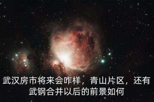 武漢房市將來會咋樣，青山片區(qū)，還有武鋼合并以后的前景如何