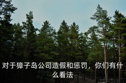 對(duì)于獐子島公司造假和懲罰，你們有什么看法