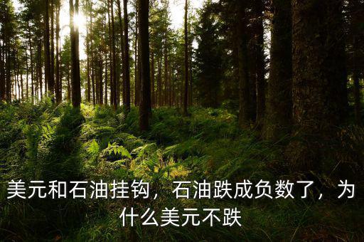 美元和石油掛鉤，石油跌成負(fù)數(shù)了，為什么美元不跌