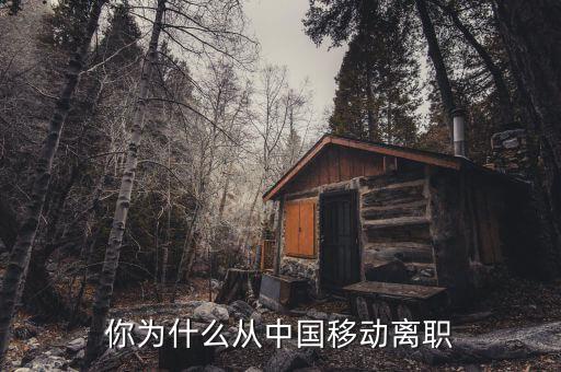 你為什么從中國移動(dòng)離職
