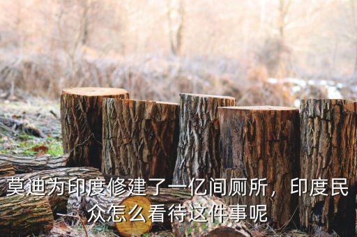 莫迪為印度修建了一億間廁所，印度民眾怎么看待這件事呢