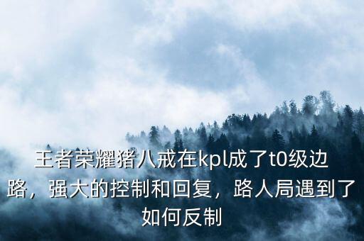 王者榮耀豬八戒在kpl成了t0級邊路，強(qiáng)大的控制和回復(fù)，路人局遇到了如何反制
