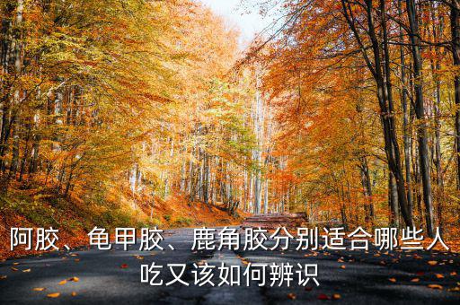 阿膠、龜甲膠、鹿角膠分別適合哪些人吃又該如何辨識