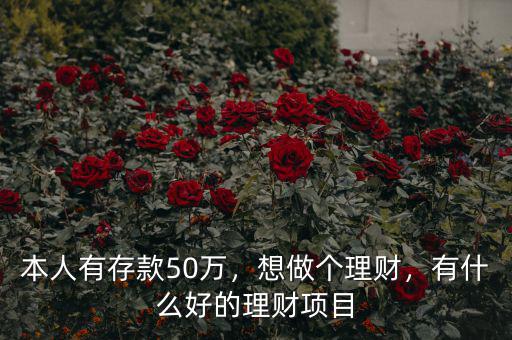 本人有存款50萬，想做個理財，有什么好的理財項(xiàng)目