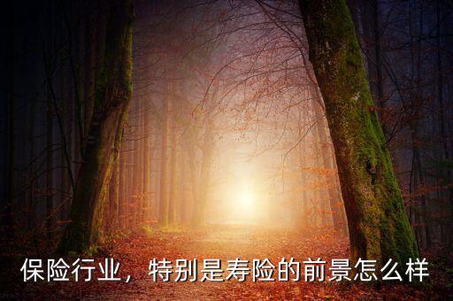 保險行業(yè)，特別是壽險的前景怎么樣