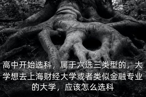 高中開始選科，屬于六選三類型的，大學想去上海財經(jīng)大學或者類似金融專業(yè)的大學，應該怎么選科