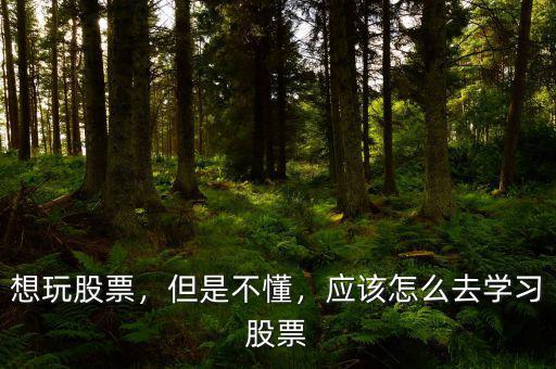 想玩股票，但是不懂，應(yīng)該怎么去學(xué)習(xí)股票