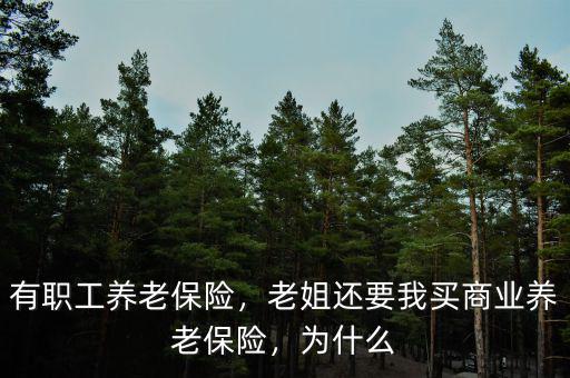 有職工養(yǎng)老保險(xiǎn)，老姐還要我買商業(yè)養(yǎng)老保險(xiǎn)，為什么