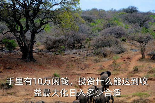 手里有10萬(wàn)閑錢，投資什么能達(dá)到收益最大化日入多少合適