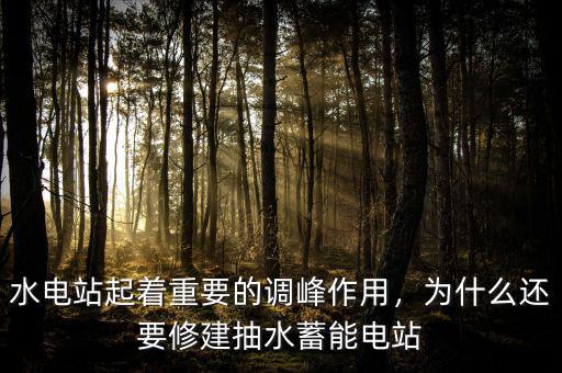 水電站起著重要的調(diào)峰作用，為什么還要修建抽水蓄能電站