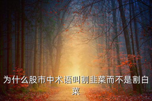 為什么股市中術語叫割韭菜而不是割白菜