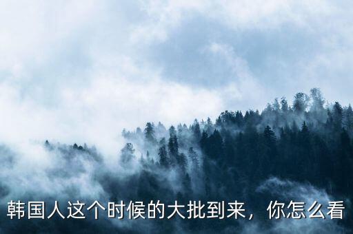 韓國人這個時候的大批到來，你怎么看