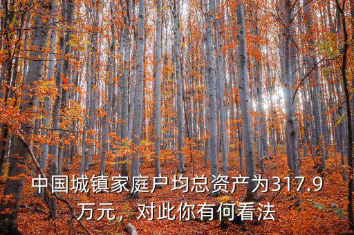 中國城鎮(zhèn)家庭戶均總資產(chǎn)為317.9萬元，對此你有何看法