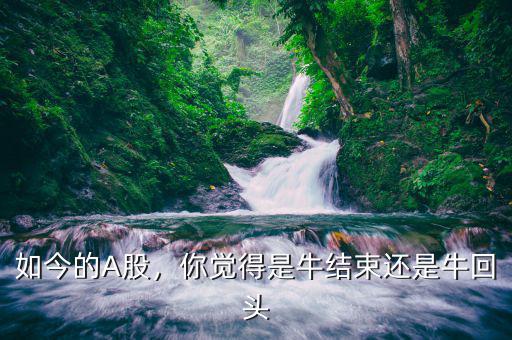 如今的A股，你覺得是牛結(jié)束還是?；仡^