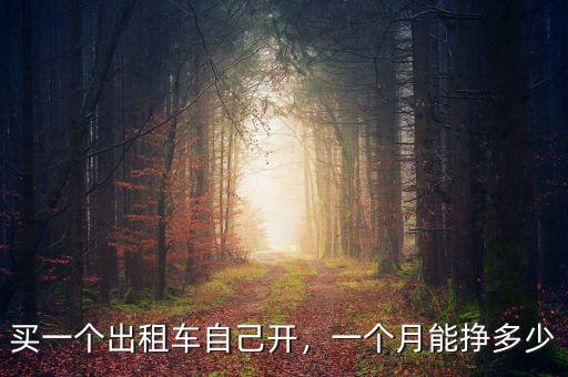 買(mǎi)一個(gè)出租車(chē)自己開(kāi)，一個(gè)月能掙多少